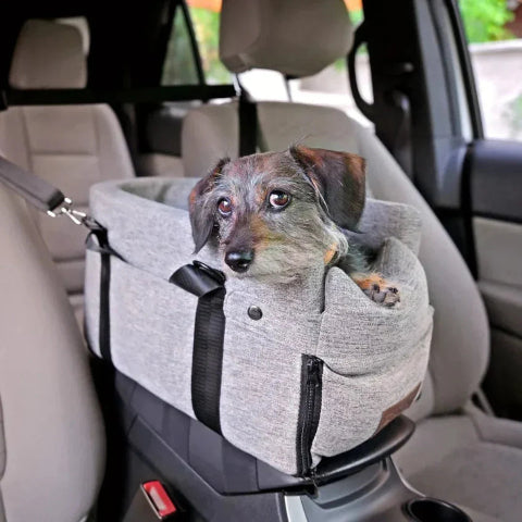 Panier De Voyage Auto Pour Chien – Parfait Pour Les Petits Compagnons