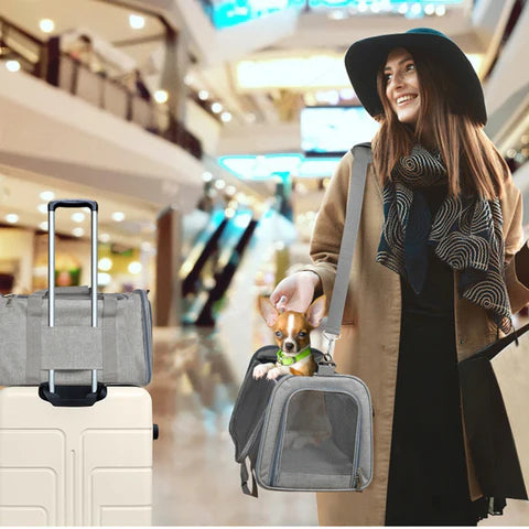 Foldable Transport Bag for Animals — Lightweight and Durable