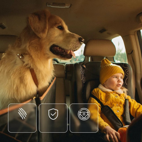 Funda De Asiento De Coche Para Perro — Confort & Seguridad Diaria
