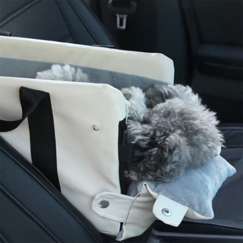 Cesto Auto Per Piccolo Cane — Sicurezza E Comfort In Auto