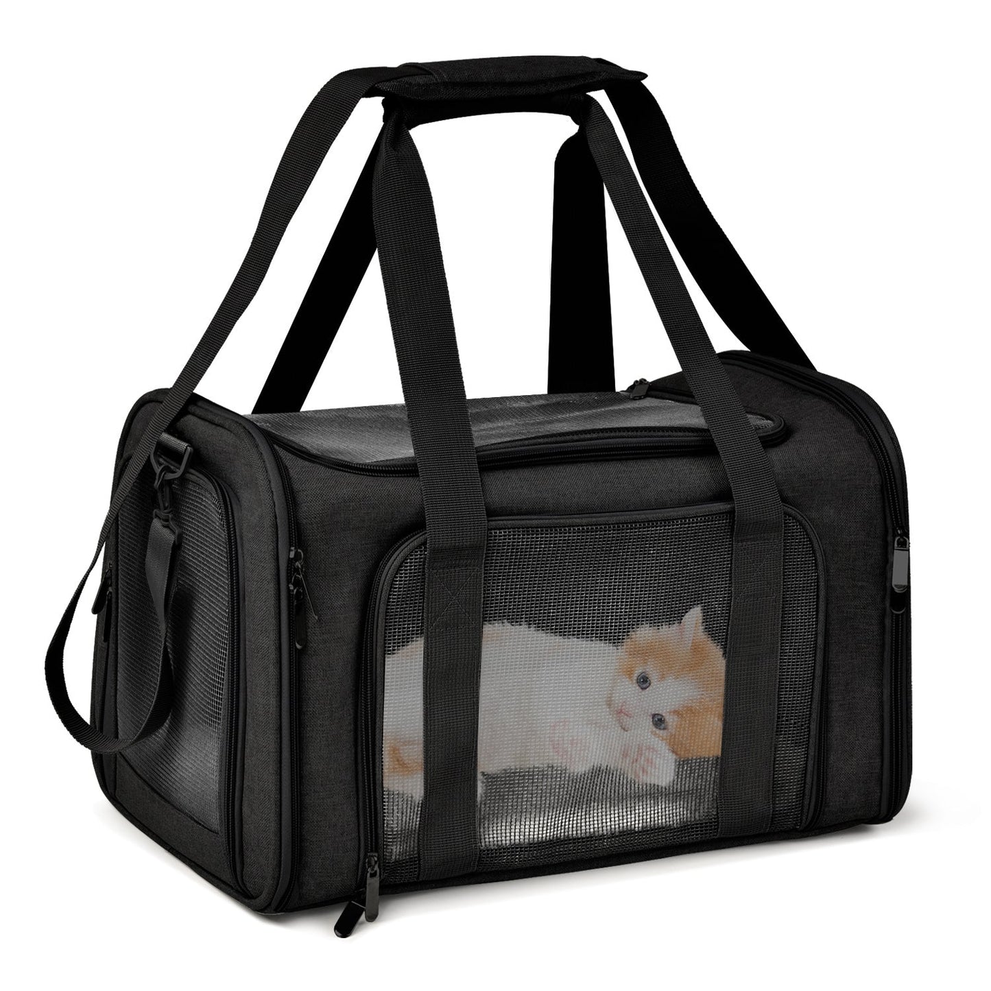 Foldable Transport Bag for Animals — Lightweight and Durable
