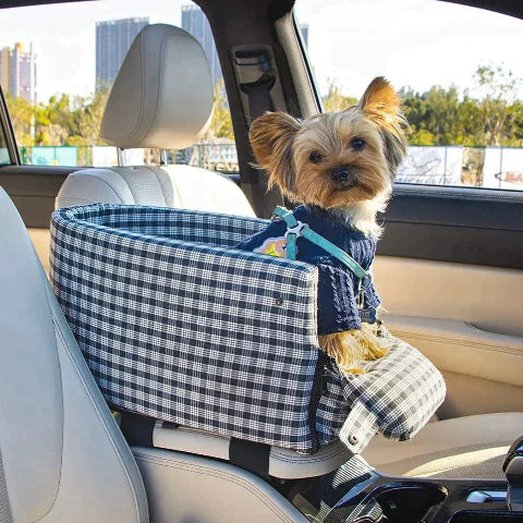 Transportkurv for hund – Komfort og stabilitet i bilen 