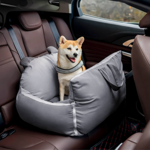 Reisekorb für Hunde – Vielseitig und leicht zu transportieren 