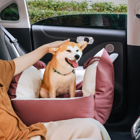 Reisekorb für Hunde – Vielseitig und leicht zu transportieren 