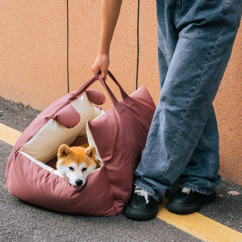 Reisekorb für Hunde – Vielseitig und leicht zu transportieren 