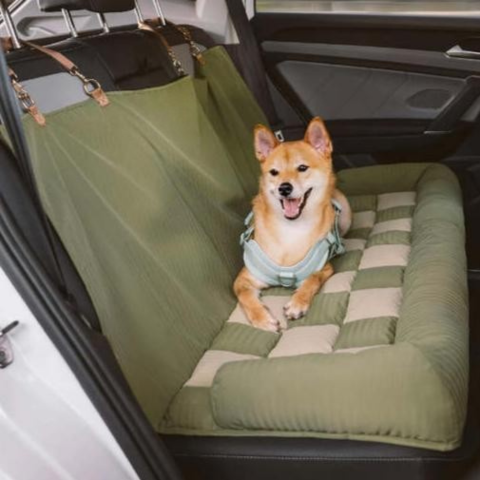 Achterstoeltje Voor Honden – Eenvoudige Installatie En Stabiliteit 