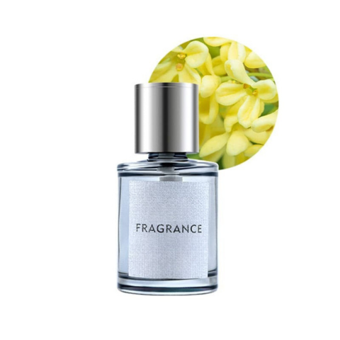 Diffusore Aromatico per Auto – Profumo e Stile 
