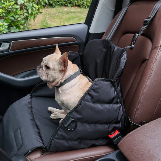 Cesto Auto Per Cani – Comfort E Sicurezza In Viaggio 